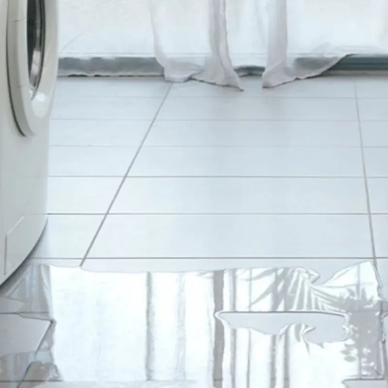 Appliance Leak Cleanup in Oconee County, SC