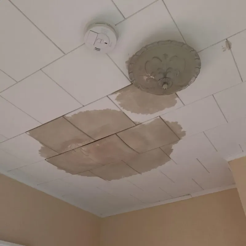 Ceiling Water Damage Repair in Oconee County, SC