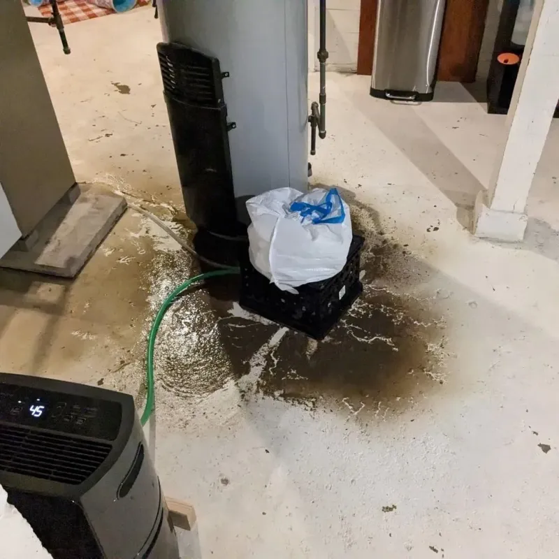 Sewage Backup Cleanup Service in Oconee County, SC